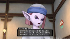 画像ギャラリー No.003のサムネイル画像 / 「ドラゴンクエストX」，連続クエスト「暗黒大樹の守り人」の第2話を本日配信