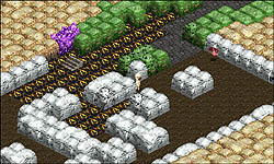 ꡼ No.013 | 2032 Сƥץץ쥹ȯɽ˥󥽥եɽ ¼᤬о졣᤬̥ܺϤȤ