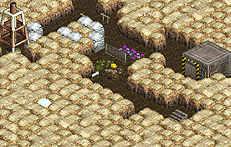 ꡼ No.005 | ֤ȯ ۥꥭ󥰡פӥ13ȡϥѥƥ򥶥Ф뿷󥸥μ