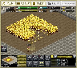 ꡼ No.008 | ȯȤϤγĥ򷫤֤ܻؤۥꥭ󥰡֤ȯ ۥꥭ󥰡פΥץ쥤ݡȤǺ