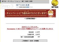 ꡼ No.004Υͥ / ֥ѥե󥿥פӥȡʪƥЎ1Ĥ館륭ڡʤɤ»