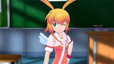 ꡼ No.005Υͥ / ֤ס꡼⡼ɤǥåǤҥȰѤΥ塼ξ