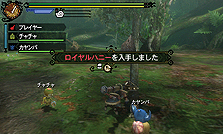 ���������꡼ No.012�Υ���ͥ������ / ����ȯ��Ρ֥�󥹥����ϥ󥿡�3�ʥȥ饤��G�ס�G�饯�����Ȥ俷������ξ���������MH3G�Τ��������ġ����ڶ��ۿ���ȯ�����������������