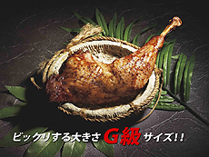 ꡼ No.004Υͥ / USJߡȥϥɥܥ٥ȡ֥󥹥ϥ󥿡ꥢ 2012ספ719˳šñμդ