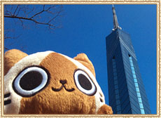 ꡼ No.009Υͥ / 夿롼Ȱ˵ǰƤ򤹤󥹡֥롼ŹƬ٥ȡפβƥС77缡