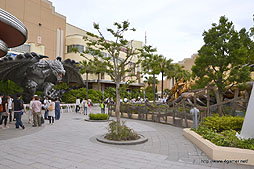 ꡼ No.003Υͥ / ʪꥪ쥦ϥͥϿǧꡣ720˥Ȥ롤˥С롦ѥΡ֥󥹥ϥ󥿡ꥢ 2012פݡ