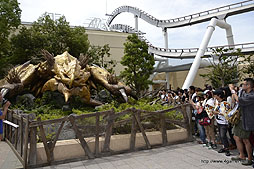 ꡼ No.016Υͥ / ʪꥪ쥦ϥͥϿǧꡣ720˥Ȥ롤˥С롦ѥΡ֥󥹥ϥ󥿡ꥢ 2012פݡ