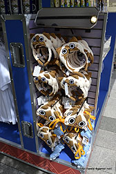 ꡼ No.077Υͥ / ʪꥪ쥦ϥͥϿǧꡣ720˥Ȥ롤˥С롦ѥΡ֥󥹥ϥ󥿡ꥢ 2012פݡ