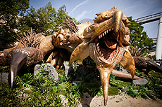 ꡼ No.004 | USJΡ֥󥹥ϥ󥿡ꥢ 2012פ롣ưꥪ쥤פDLȤۿˤȺŤ