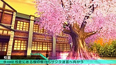 ꡼ No.009 | ֥ե/ȥ CCCפΥѥåǹвܿܿ߷פ11ܤˡ꡼ǹܿã