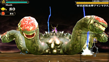 ꡼ No.013Υͥ / ϹηġפǤϡŨ°פˡݤŨǺϣѤǥ֥°դ褦