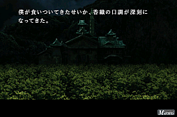 ꡼ No.015Υͥ / 428סִеס֤ޤס999פָ500ߤˡѥ󥽥եȤΡSummer󥳥󥻡롪פ830ޤǳ