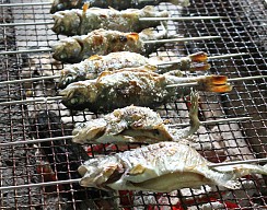 画像ギャラリー No.006のサムネイル画像 / 「モンハン渋の里」,7月27日から9月16日までの限定イベント情報が公開に