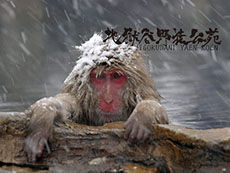 ���������꡼ No.006�Υ���ͥ������ / 7��27���˳��뤹��֥��ϥ�פȿ����²����Υ���ܥ��٥�ȡ֥��ϥ�¤�Τ�פκǿ����󤬸����ˡ��֥ϥ󥿡�Ϫŷ��Ϥ�פ�����Ϫ��