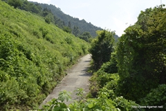 ꡼ No.077Υͥ / ܵɤΥϥ߿²ܤǤϡᤴȤ˰ۤʤ륤٥Ȥ򲡤֡ȥϥ¤ΤɤǯפΥݡȷĥɤǺ