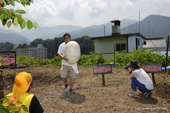 ꡼ No.079Υͥ / ܵɤΥϥ߿²ܤǤϡᤴȤ˰ۤʤ륤٥Ȥ򲡤֡ȥϥ¤ΤɤǯפΥݡȷĥɤǺ