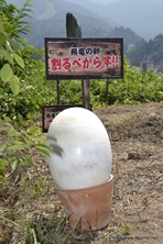 ꡼ No.080Υͥ / ܵɤΥϥ߿²ܤǤϡᤴȤ˰ۤʤ륤٥Ȥ򲡤֡ȥϥ¤ΤɤǯפΥݡȷĥɤǺ