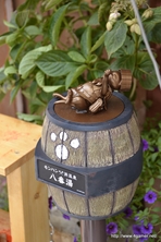 ꡼ No.107Υͥ / ܵɤΥϥ߿²ܤǤϡᤴȤ˰ۤʤ륤٥Ȥ򲡤֡ȥϥ¤ΤɤǯפΥݡȷĥɤǺ