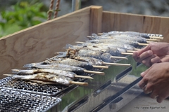 ꡼ No.118Υͥ / ܵɤΥϥ߿²ܤǤϡᤴȤ˰ۤʤ륤٥Ȥ򲡤֡ȥϥ¤ΤɤǯפΥݡȷĥɤǺ