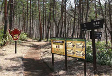 ꡼ No.047 | ֥󥹥ϥ󥿡4סåķͤ󤬽б餹ƥCMˡϥȤΥܾʤʤɤξޤȤƾҲ