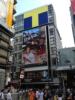 ꡼ No.002Υͥ / ָΡ֥ץ󥪥ե륷åספTSUTAYA  EBISUBASHIŹ913ץϢ٤ϥ롼롼ŹĹ