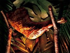 ꡼ No.065Υͥ / ֥󥹥ϥ󥿡ץ꡼˴ؤǿ󤬰֥ȥå㡼פ䡤֥פȤΥܾʤ