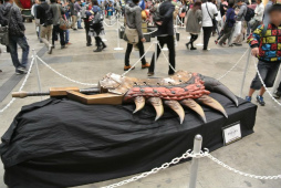 ꡼ No.110Υͥ / 12000ͤμͤ뤷֥󥹥ϥ󥿡ե13ݡȡּסֿƻҥϥ󥿡/ҥϥ󥿡ܰפ϶ɽ