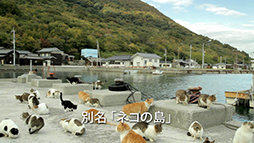 ���������꡼ No.009�Υ���ͥ������ / �֥�󥹥����ϥ󥿡�4�ס�����10�϶�ǻ��Ƥ��줿������CM��27���������