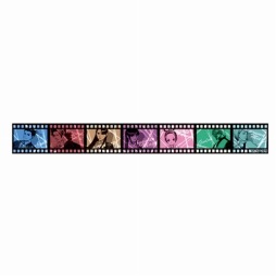 ꡼ No.018Υͥ / ץ͵饯Υޥ󥰥ơפȻɽ֥쥹åȤо