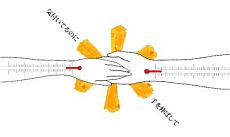 ꡼ No.010 | ֽ鲻ߥ and Future Stars Project miraiסϿڶʡ֤ɤ֤ꤤסַβפʤ4ʤȥ塼4Ҳ𡣥ꥺॲΥƥ