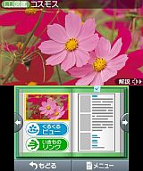 花といきもの立体図鑑