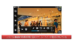 ꡼ No.006Υͥ / PlayStation Vita Game Conference 2012ץݡȡൡǤγȯиΤʤɥ󥴤ˤơ֥˥˥פ夲