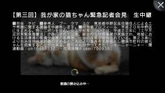 ꡼ No.001Υͥ / ֥˥˥Ver1.10ॷեȤбȥꥹɽǽ