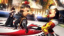 ꡼ No.011 | DEAD OR ALIVE 5סåޥå˥եࡼӡȥ꡼󥷥åȤϢȵ˿줤