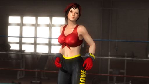 DEAD OR ALIVE 5ס11饯ʬΥ塼Ͽ̵DLCɲå塼ѥåפۿ