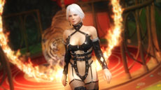 DEAD OR ALIVE 5ͭɥƥ5ƤۿȡաĤᥤΰʤ12ʬΰо