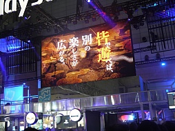 ꡼ No.014Υͥ / TGS 2013ϡֲλӤۤƤ椱2סʡԤΤ˷ꡣľʼŤְͷץơݡ