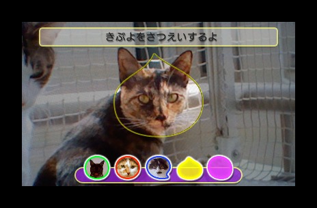 画像ギャラリー No.006のサムネイル画像 / 3DS/Wii/PSP「ぷよぷよ!!」各バージョンの特徴や,予約特典および3DS版の数量限定パッケージの内容をおさらい。機種ごとに異なる楽しみが味わえる