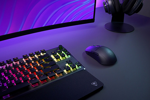 ꡼ No.001 | ROCCATΥޡʥ꡼Turtle Beach֥ɤȯ