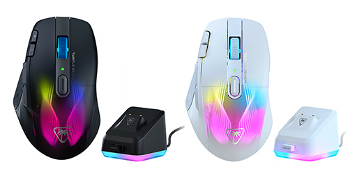 ꡼ No.005 | ROCCATΥޡʥ꡼Turtle Beach֥ɤȯ