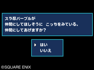 ꡼ No.006Υͥ / ֥ɥ饴󥯥ȥ󥹥 ƥ꡼Υ3Dסۿϰˤäưۤʤ󥹥о줹륹ڥǡۿ531˳