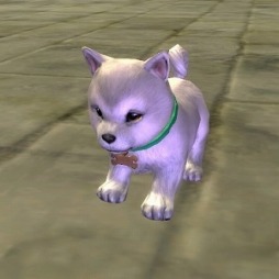 ���������꡼ No.005�Υ���ͥ������ / ��Weapons of Mythology������Ȣ�Υꥵ�����륷���ƥ���ɲ�