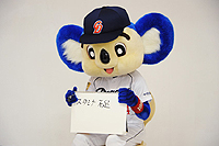 ꡼ No.004Υͥ / Ρ֥ɥפĥޥåȤϰåδʵĥޥåȸȤʤäMONSTERDRAGON׸ǧޥåȡ֥ɥ饳פȥޥз