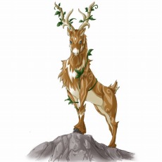 ������#003�Υ���ͥ���/�ֱ�ͺ�����˥������14�����������ȡ��������ƥ�֥ܡ��ʥ�Ϣ��פ��ü�ǽ�ϡֿ�����פ�������