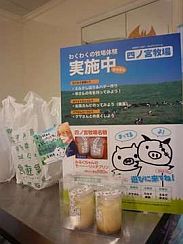 ꡼ No.014Υͥ / ֤Ρץ󥹤ޤâᲵر in ɥޥ륤2012פ档114ޤ