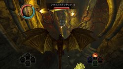 ꡼ No.033Υͥ / ֥ǥ˥ƥII ɥ饴ʥȥפСեȤ1222ȯ䡣Divinity II1Ϥ2ϤϿȴǡ