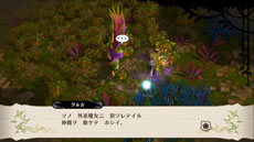 ꡼ No.026Υͥ / ɴʼס2̾ο饯Υץե뤬ˡɴʼΥ֥ȡפΤۤƻƧֳ߳ƻפγפȽ