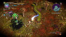 ꡼ No.021Υͥ / ɴʼסɴʼǽϤ丫ܤѲ뿷ʡ֥եåȡסޥǡ֥եХ졼פƤʤɤ餫