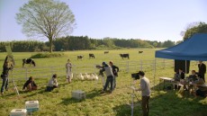 ꡼ No.004 | Ҿʪ Ϥޤϡס2ܤTVCMԸ᡼ݤˤȥҥɤɬ