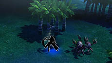 ꡼ No.005Υͥ / ֥ ҡ 饤סʥҡ֥ޥס֥쥯פ